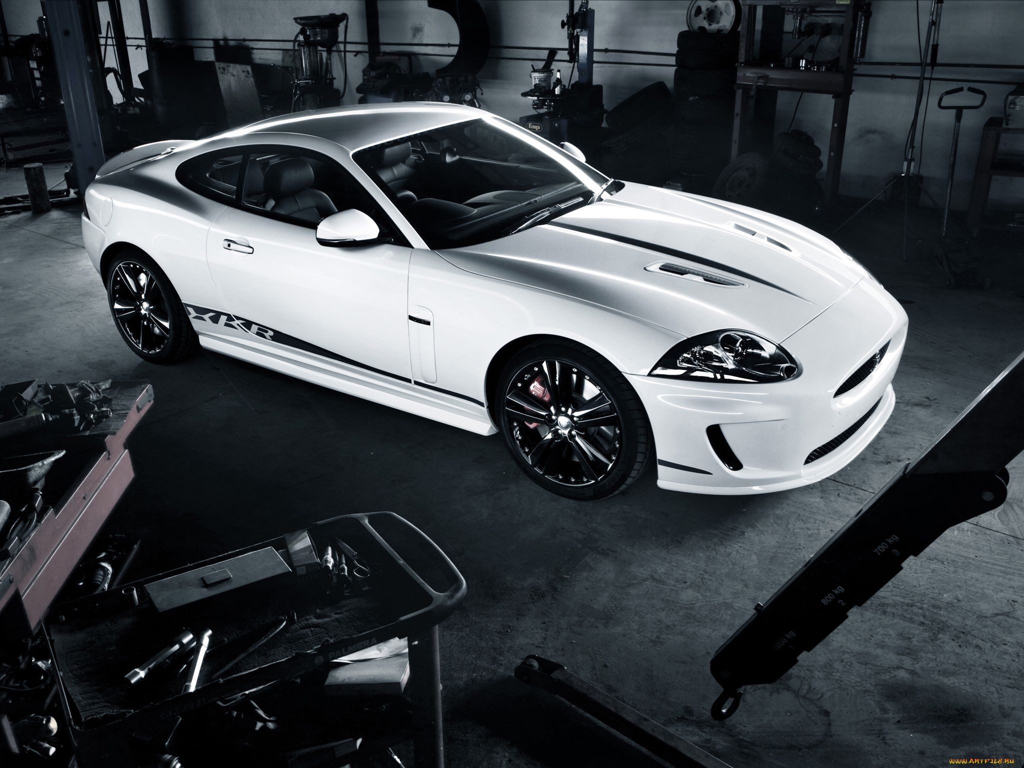 , jaguar